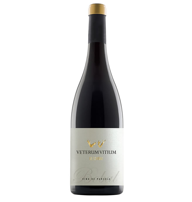 Veterum Vitium